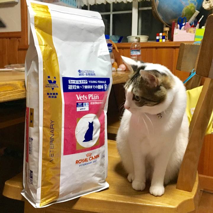 Ae160365 8a83 4a5f a3be e0e8a1e43983