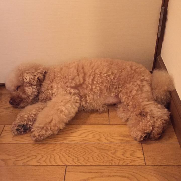 Ae16a14f 4f32 47db a44a fc36ac98942f