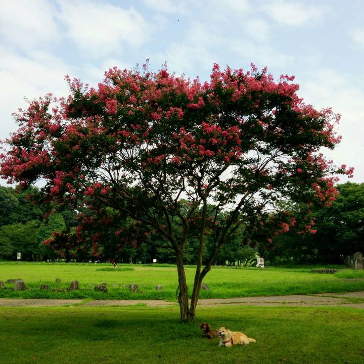 Ae16c0d9 8607 48d1 b821 31d8309103db