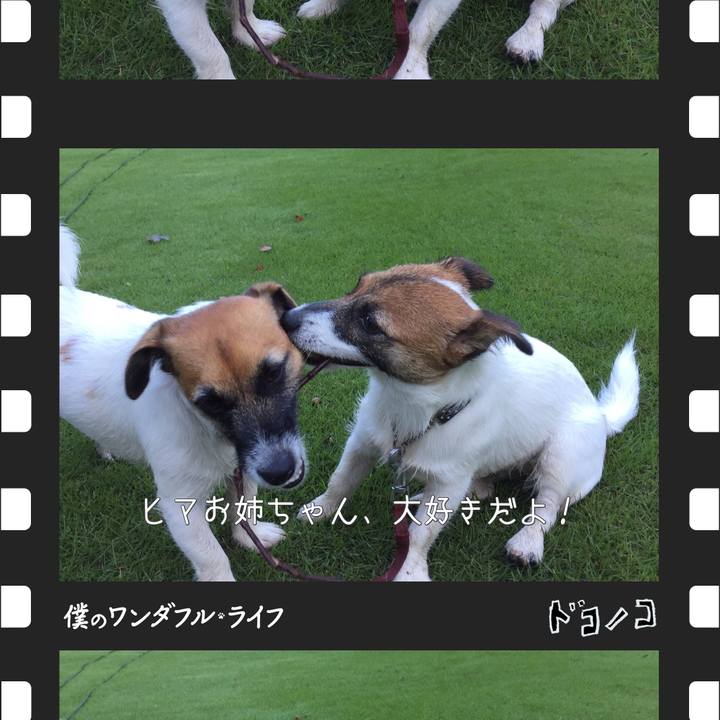 Ae177698 2ecc 47a2 8440 1493ce3948ae