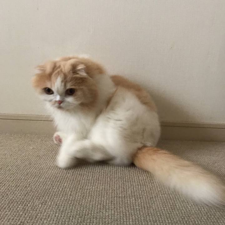 Ae17b0f9 5235 4ab3 b381 5f0ddf57f59e