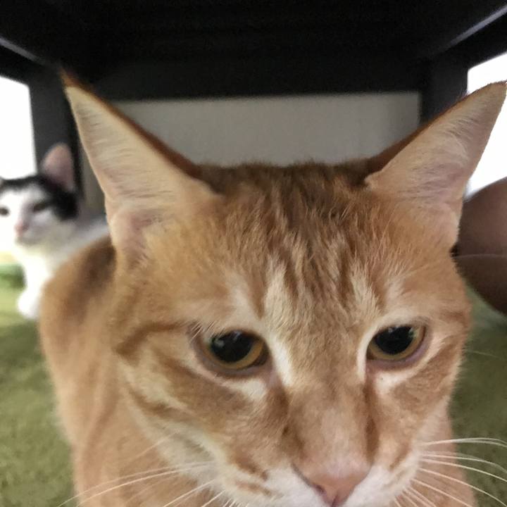 Ae17d92e 1a8a 4407 b581 d8c386c2bde3