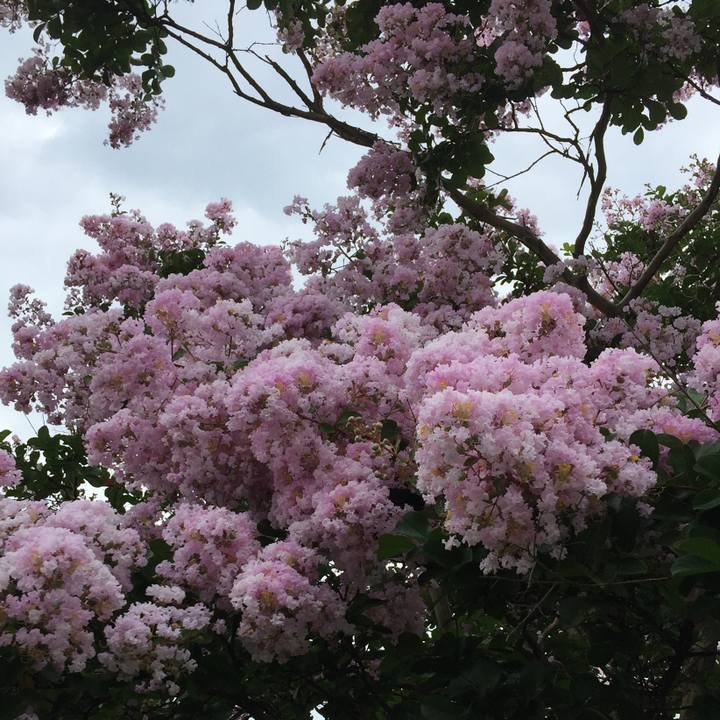 Ae183240 bcec 45ed bbba 77a41cf4bba8