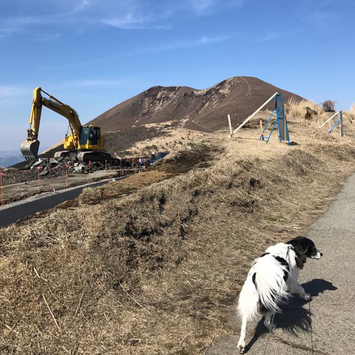 Ae18349a df74 4ce3 9c0d f9f578856545