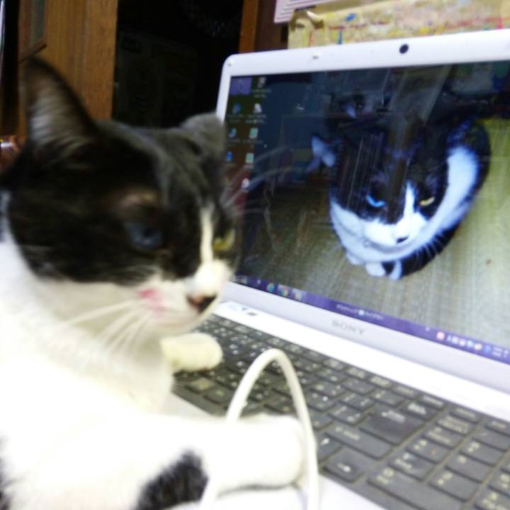 Ae187367 6248 46c6 95fb 9a6c8380039a