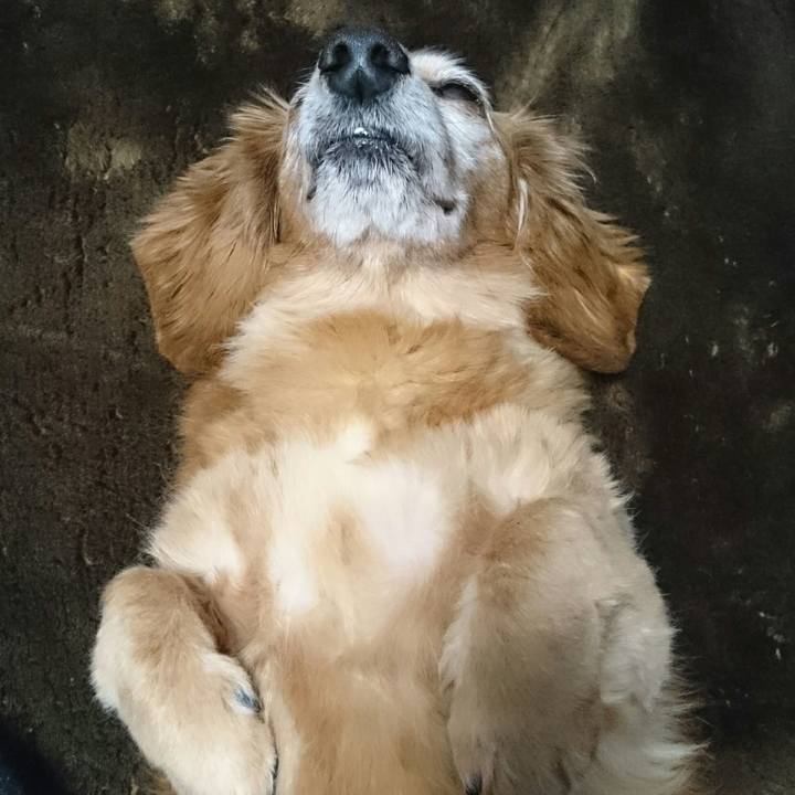 Ae193e9b 33b4 4fec 9150 9d74950623df