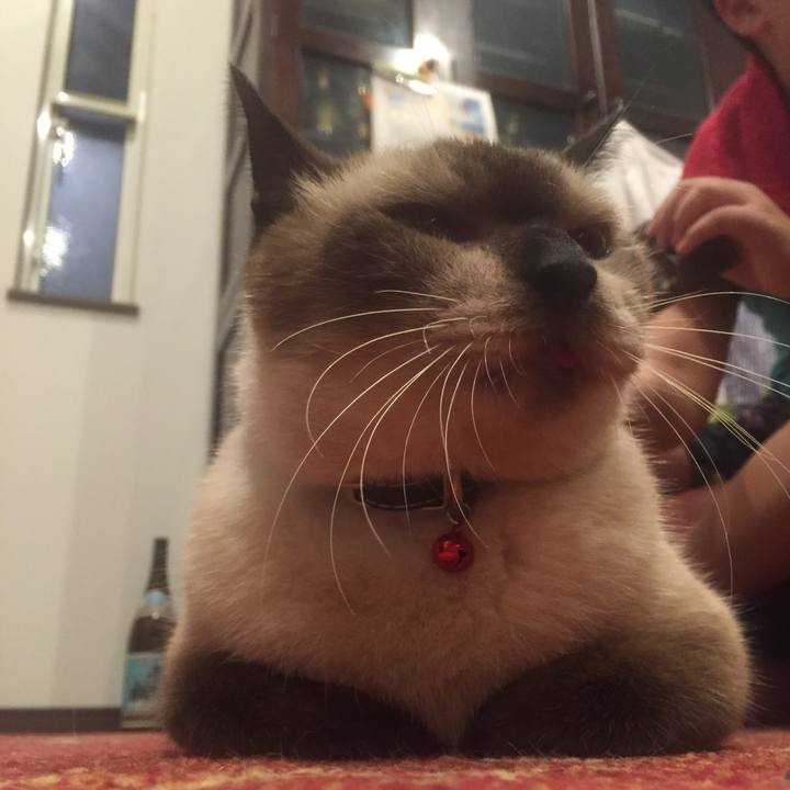 Ae1998fe 1a81 483e 9161 82f01cb5cb24