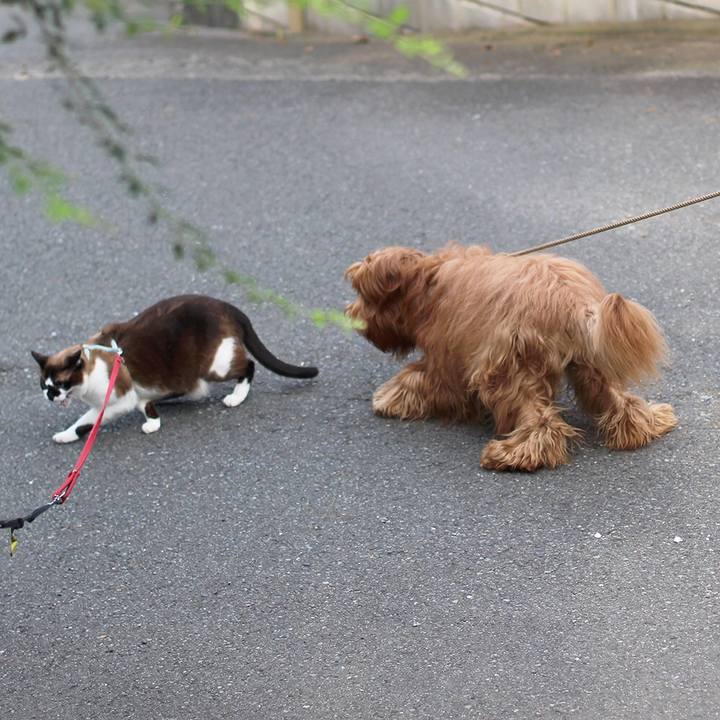 Ae19f3bd b044 4b20 a737 208439b60140