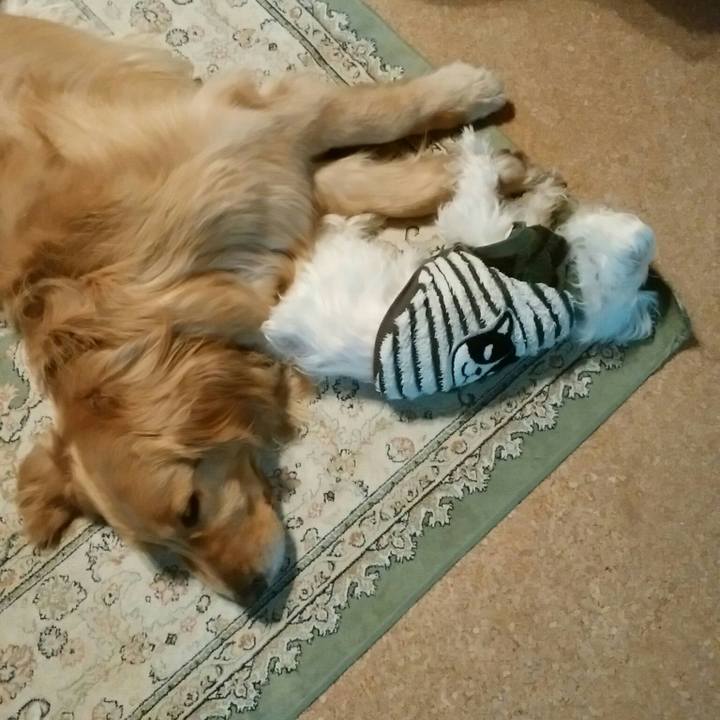 Ae1c5e66 0ab8 40a5 b89c 16c2bcfb6f50