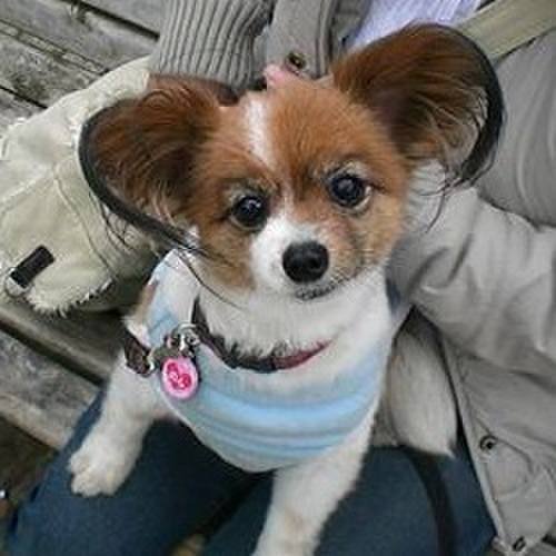 Ae1cb327 ccc4 47c7 b9d8 196f93a51a50