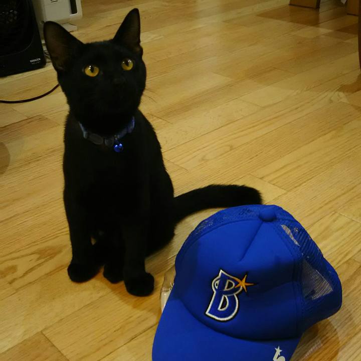 Ae1cdb64 aa66 4568 b3cd 01758e6436f4