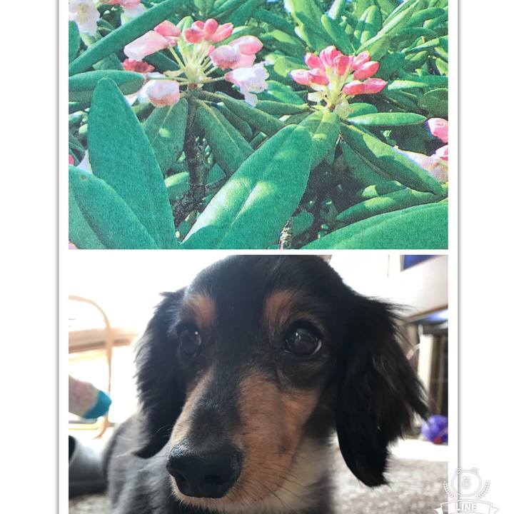 Ae1e3bc8 7532 47a0 b569 7b60572ca9ec