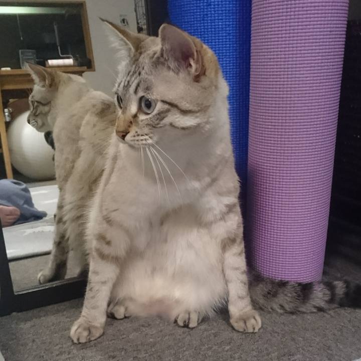 Ae1e46d0 78e9 4b2a a804 37154c9f0115