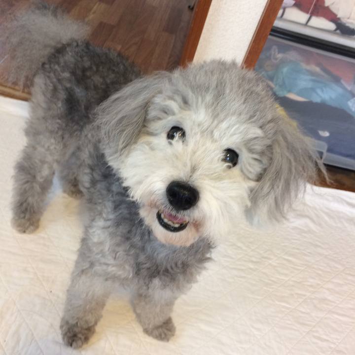 Ae1eaa7a 353b 4ea4 ab46 be20f1d34797