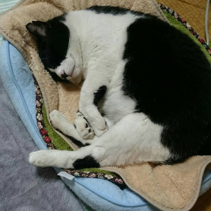 Ae1eb9ca 019a 4f64 8c89 cb2ad79092b8