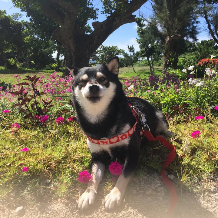 Ae1f59fe 669f 4d1f a13a 50b73850eb78