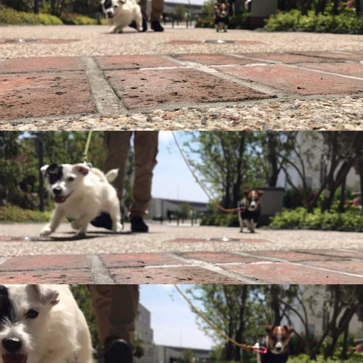 Ae1f91b2 cc34 425a 9038 5021c154e17f