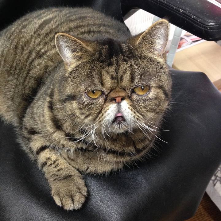 Ae205329 f6df 408e 9cc3 5ea37dd876a4