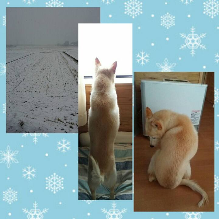 Ae208567 31b0 4782 958c 00d54ab8def6