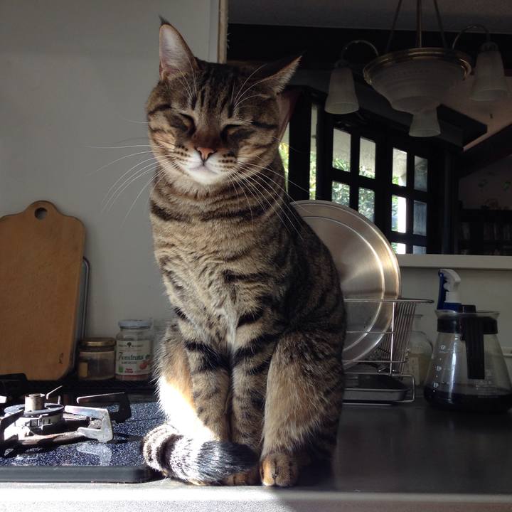 Ae20cb72 6dbc 4b03 845a 2913915f0507