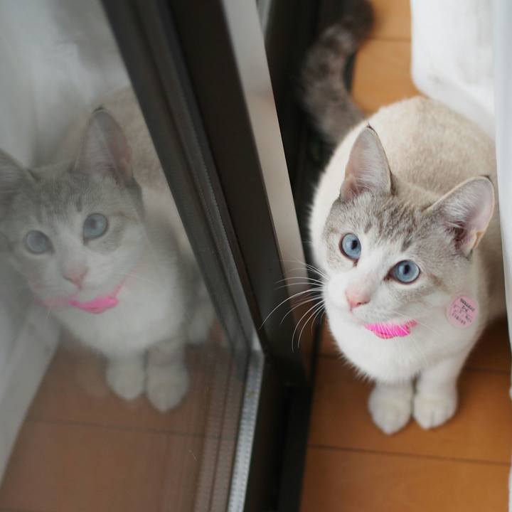 Ae2104d9 802b 4169 b758 dbe2efb1a155