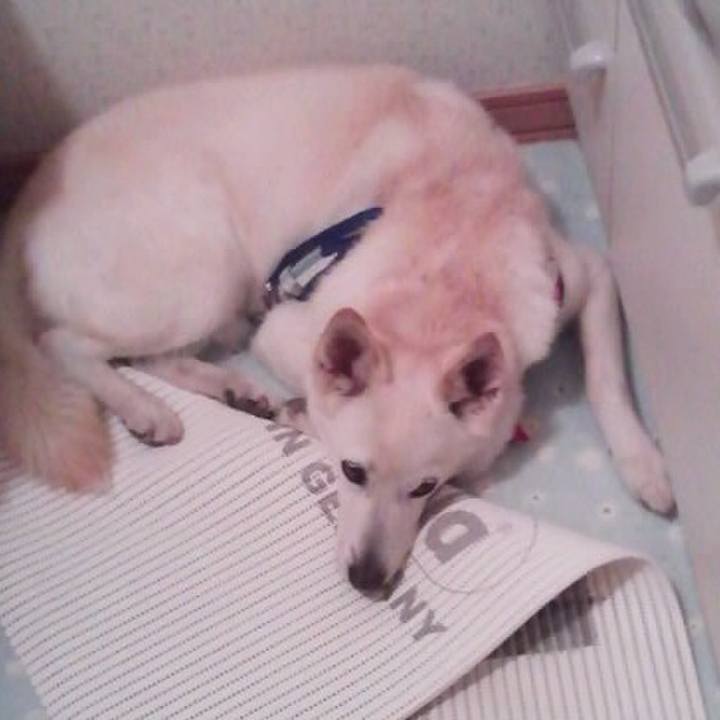 Ae2118c8 16de 4ffe 9d87 214b517b5263