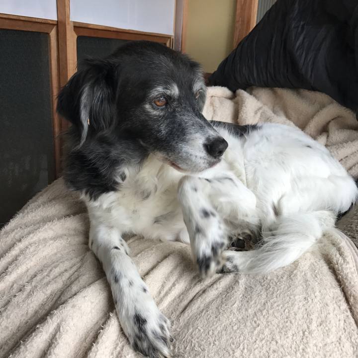 Ae2140d7 1a35 4db9 8e7b dfb284342845