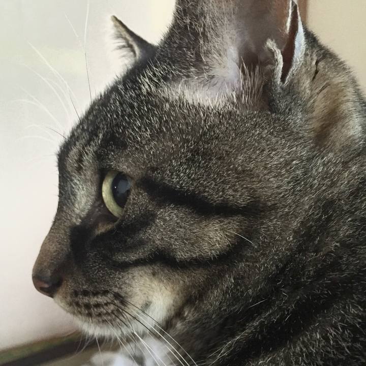 Ae21fad5 991e 4a53 89f2 efb11749e578