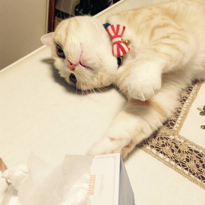 Ae22886c dbaf 4fc5 9c56 c890fd4dbf20