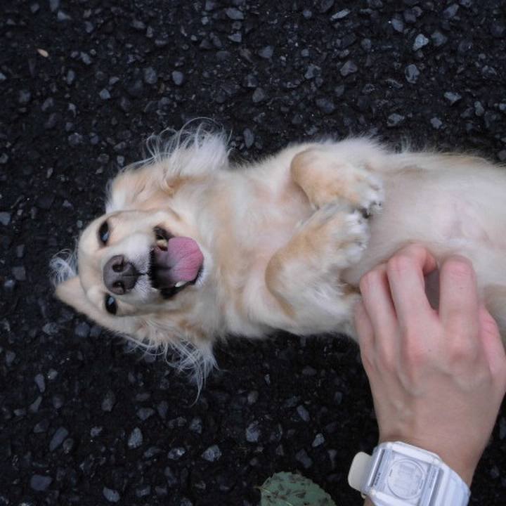 Ae22a516 8e67 4d81 b8b4 5aa1f9223881