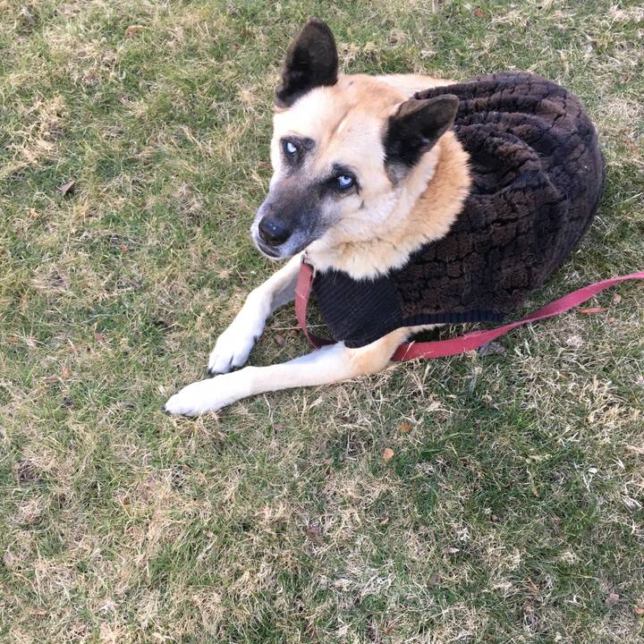 Ae231ece b942 45b7 b497 ab82f2dbe07b