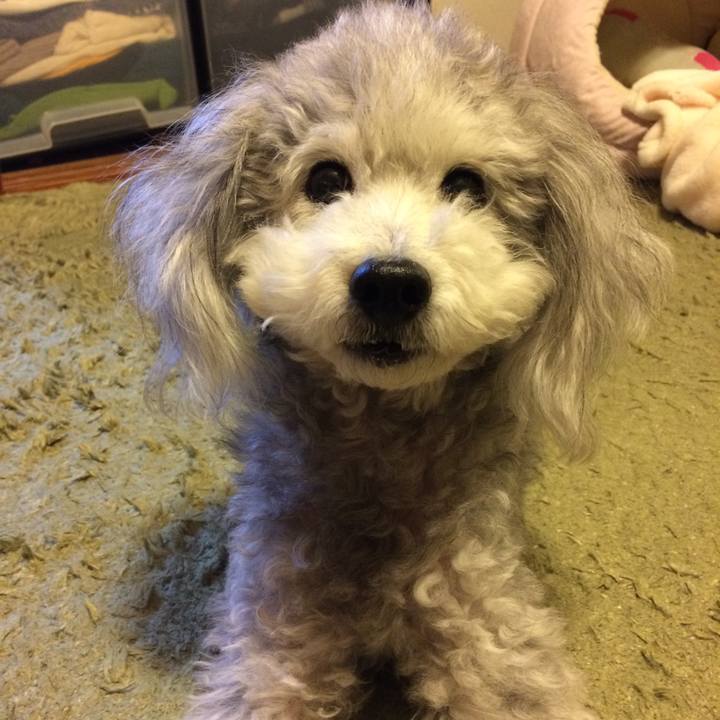 Ae240451 724b 42dd b189 e848f5db3531