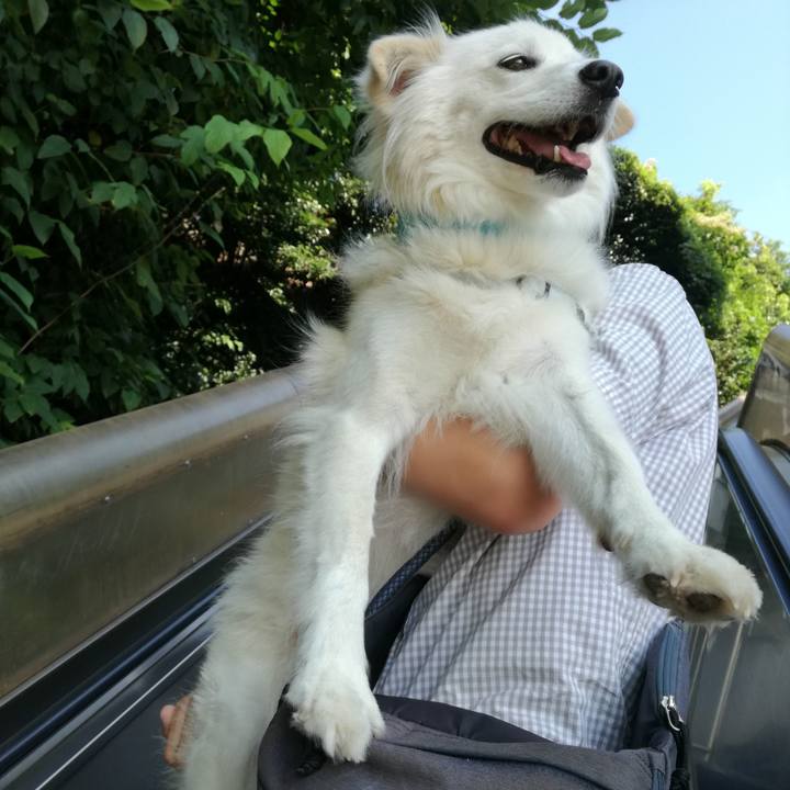 Ae2454c6 42b0 43eb a599 a7c606cb11e6