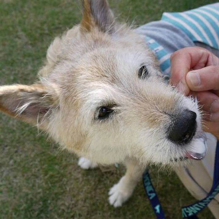 Ae24f109 12f9 46a7 9247 d3423bec2817