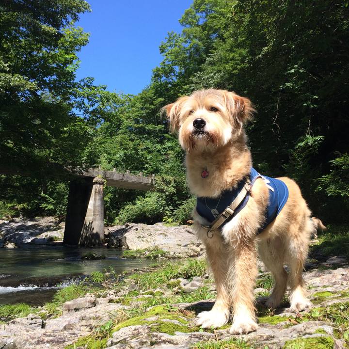 Ae2514fe 7f43 4e5f 85ef 0a15268d8b56