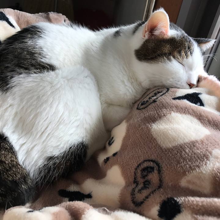 Ae25a6f8 1296 4b2d 84fd c311e003b0c8