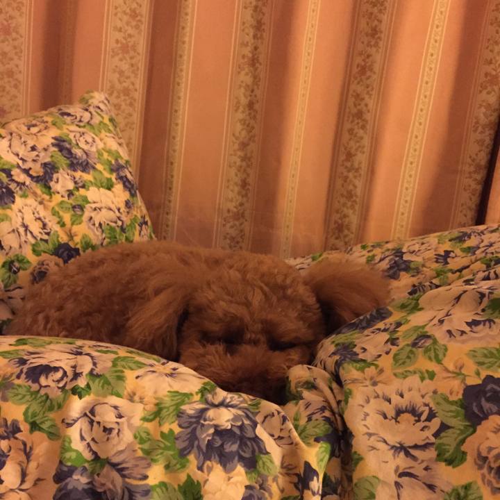 Ae262547 86f9 4c6f b305 39cd67b2eba2