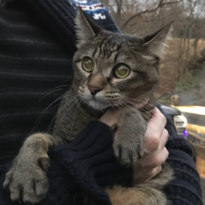 Ae264332 24f0 4bd2 ae04 a244d5ecc25c