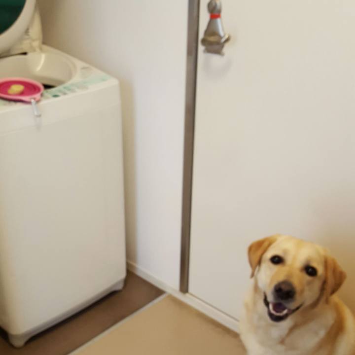 Ae264a59 1034 4262 ac20 46d23e17d781