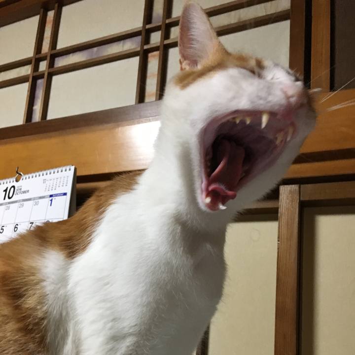 Ae266926 0bf6 455a b91d ebe3a6cb7367