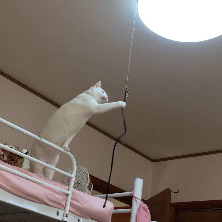 Ae26f98c ea7a 4829 b111 c8278606c7d7