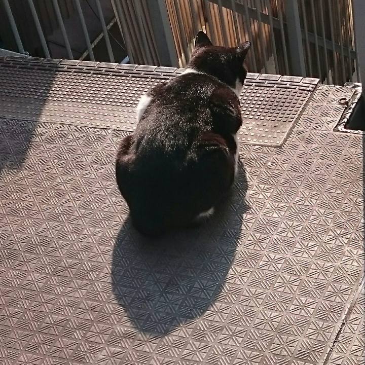 Ae27033e 7444 471d 8f2a d82f8b2b223e