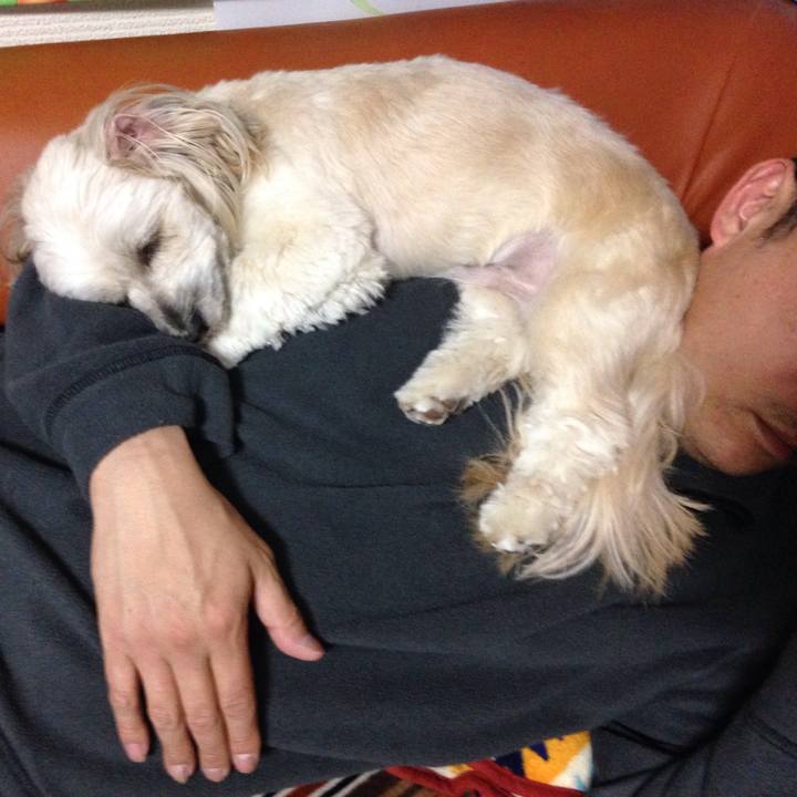 Ae2721b1 fd72 438f ae09 0cb9e94bd05b