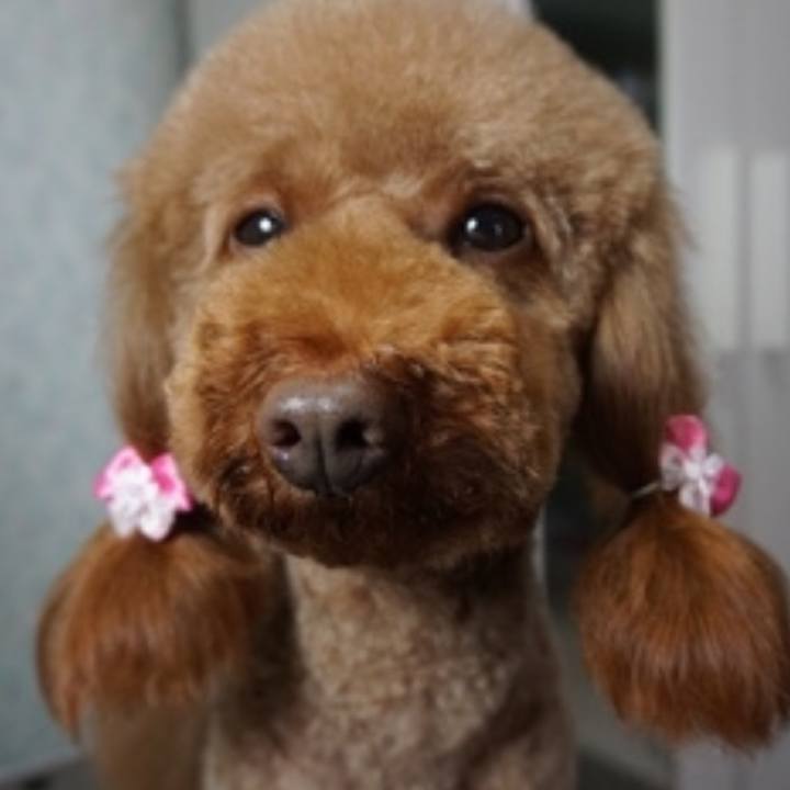 Ae278268 27ca 4517 88dc 681d730bc1d7