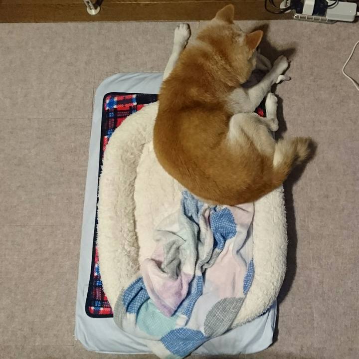 Ae27b6e3 7535 47db 9f95 9d88f1cc308e