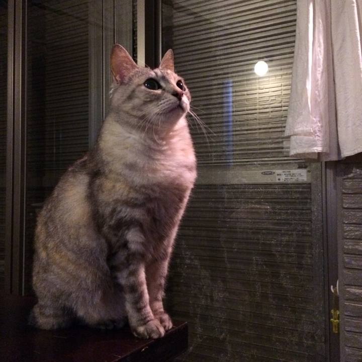 Ae281210 dfda 40c9 9ca9 6cb5407ba72a