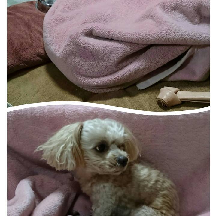 Ae282706 4aa5 427a 8c80 9ddea0be6054