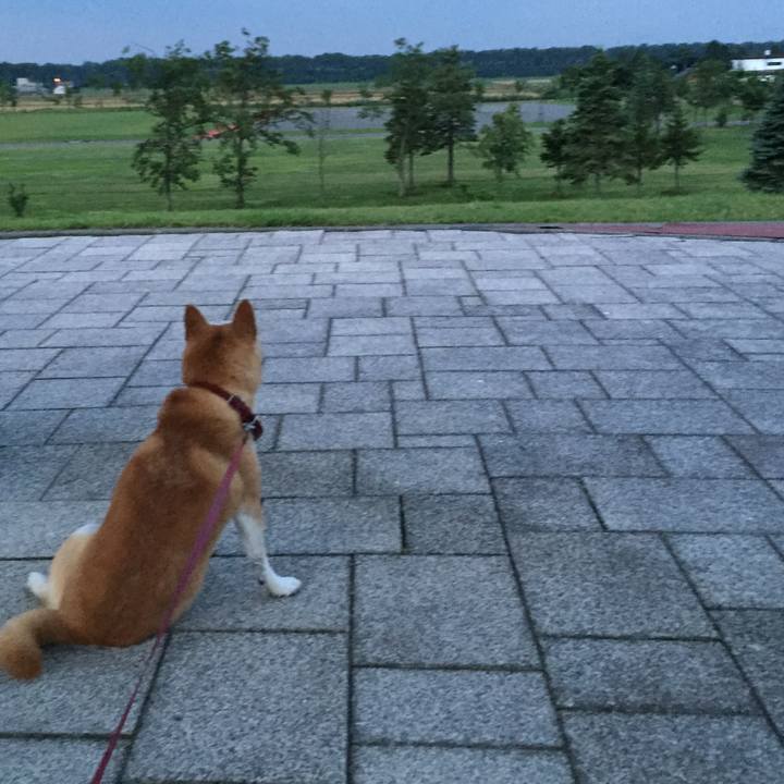 Ae287a39 397d 4f72 b60f 86320449e3d0