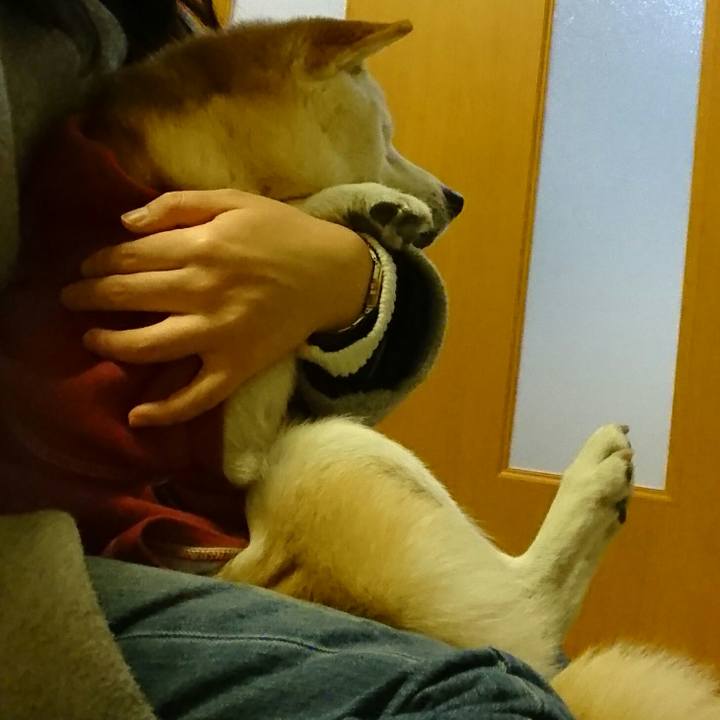 Ae28e84c ac1f 491f a3be 72d19c40b7b5