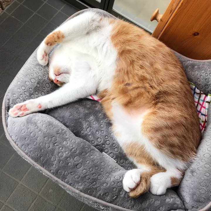 Ae293a82 2e58 40e5 b6ce bd8016439da5